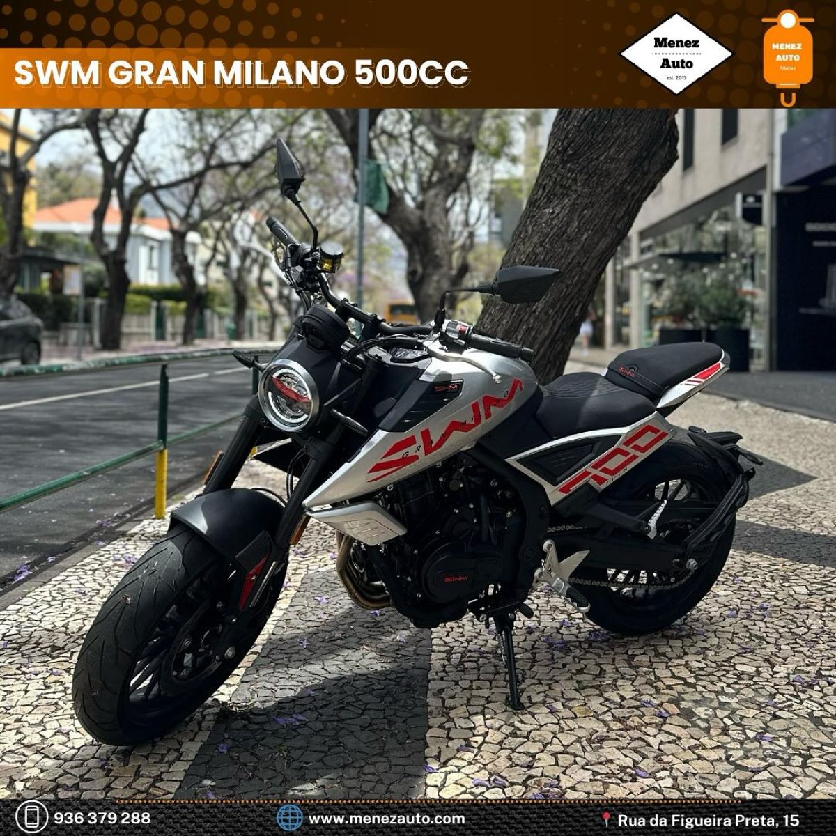 Thumbnail 10 - Swm Gran Milano 500