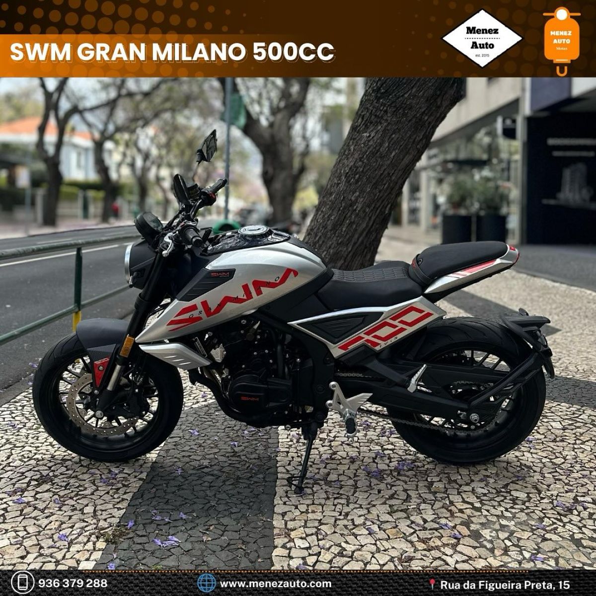 Thumbnail 9 - Swm Gran Milano 500